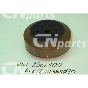 Aandrijfwiel 250x100-30/6G